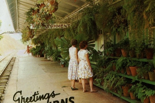 Visitors admiring the plantings on the platform at Kuranda Railway Station, Kuranda, Queensland, 1970