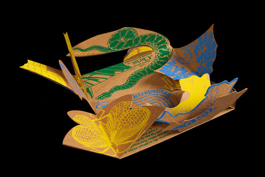 Puzzle de Brasil, 2001, Priya Pereira.