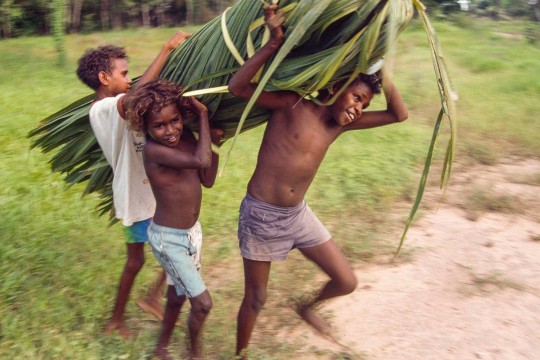 Boys carrying a bundle of cabbage palm leaves
