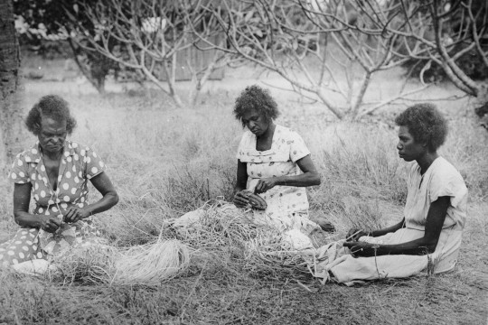 Women weaving orchid fibres at Aurukun, ca. 1950