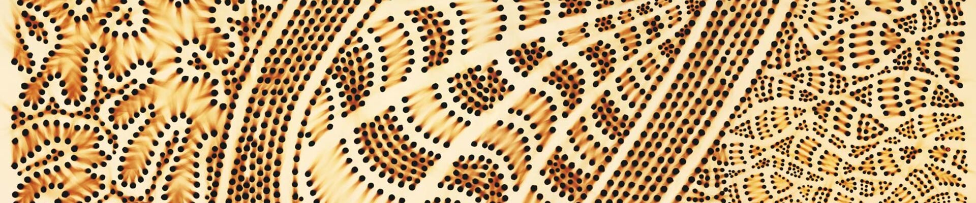 Kurilpa Country, an original artwork created by Lilla Watson. An intricate wood burning dotwork artpeice depicting a bend of the Brisbane River.
