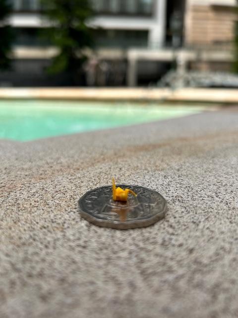 Miniscule masterpiece – a tiny paper crane folded by a visitor to Anzac Square.
