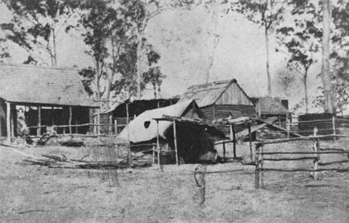 Cobb and Co's stables near the Northumberland Hotel, Gympie, ca 1870.
