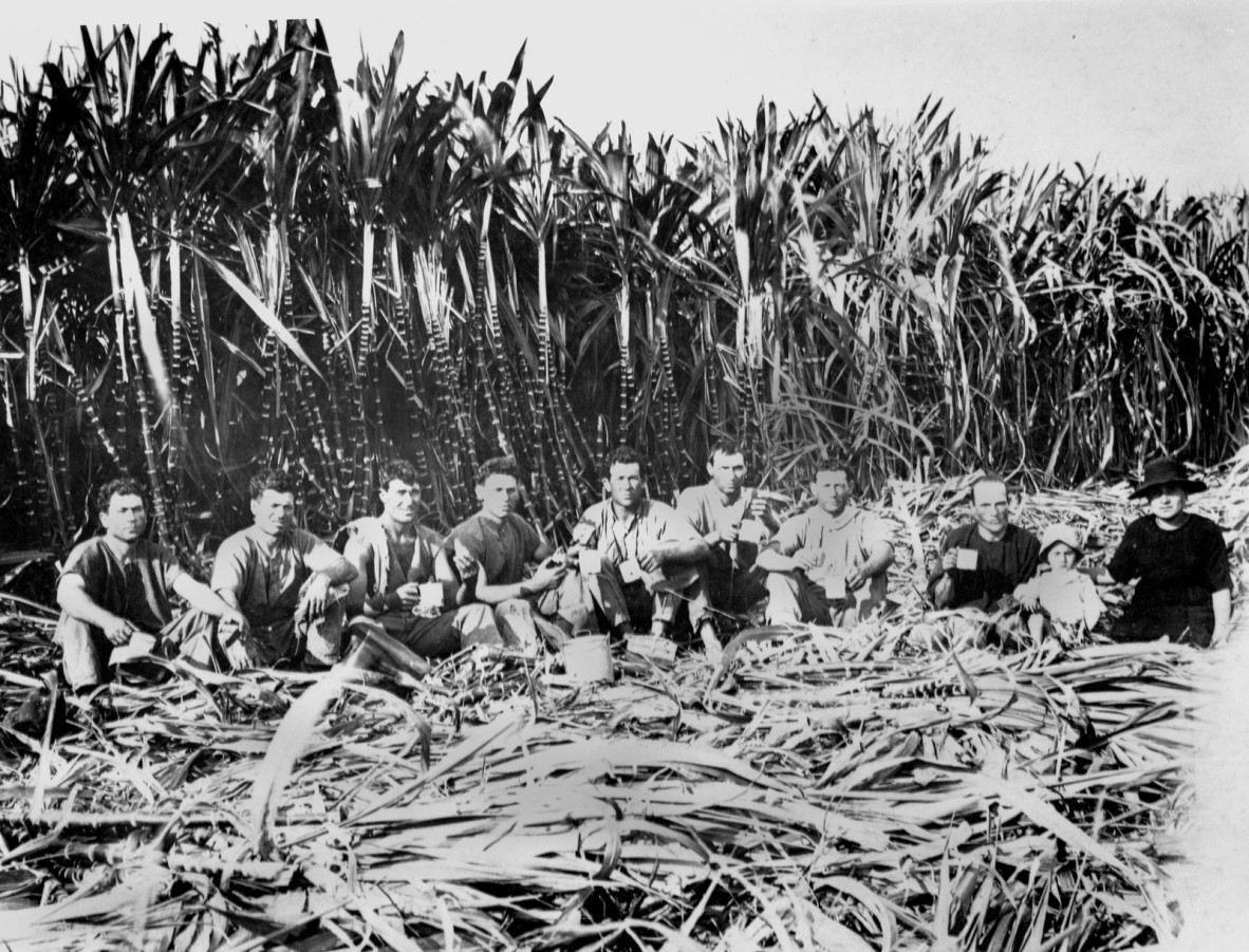 Italian sugar cane cutters, Innisfail District, Queensland, 1923