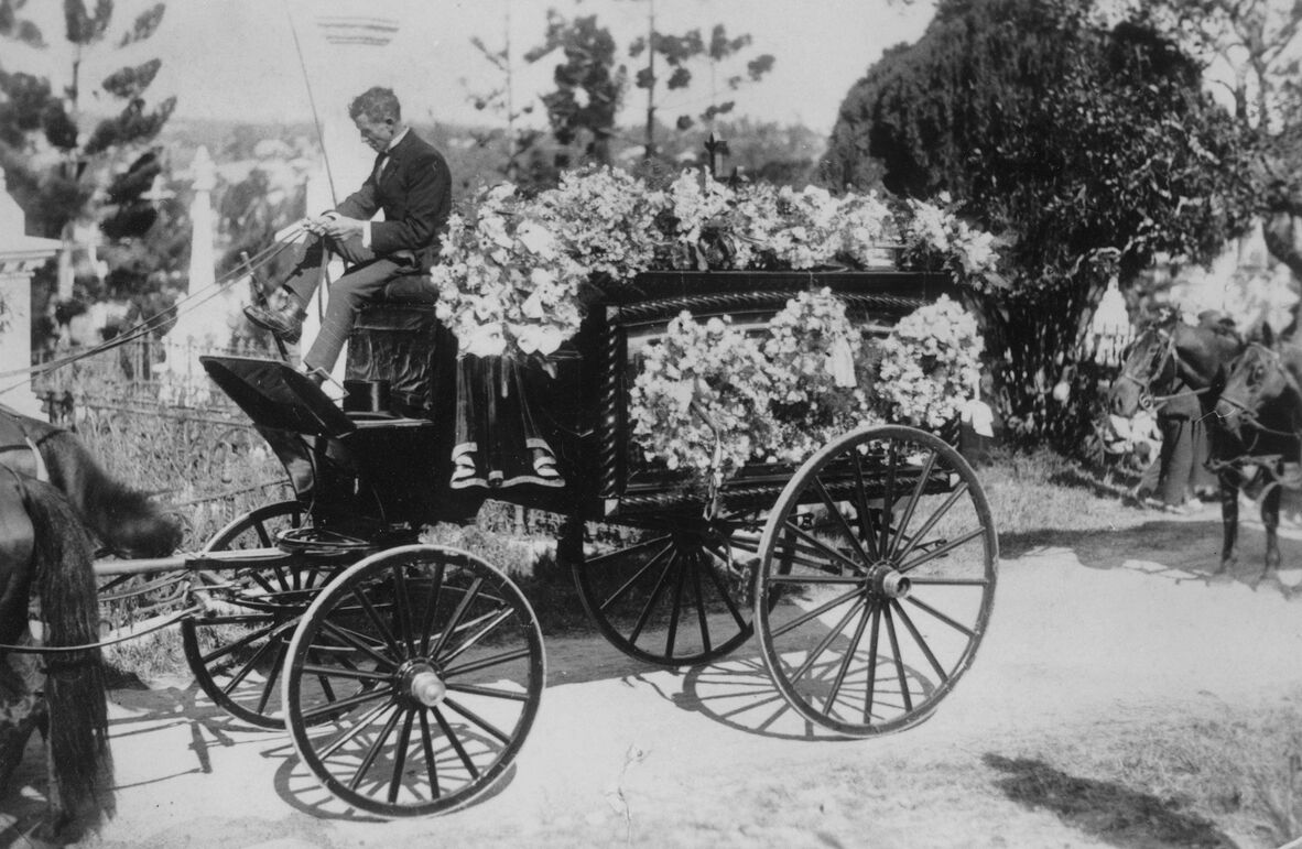 Man steering a horse drawn funeral hearse