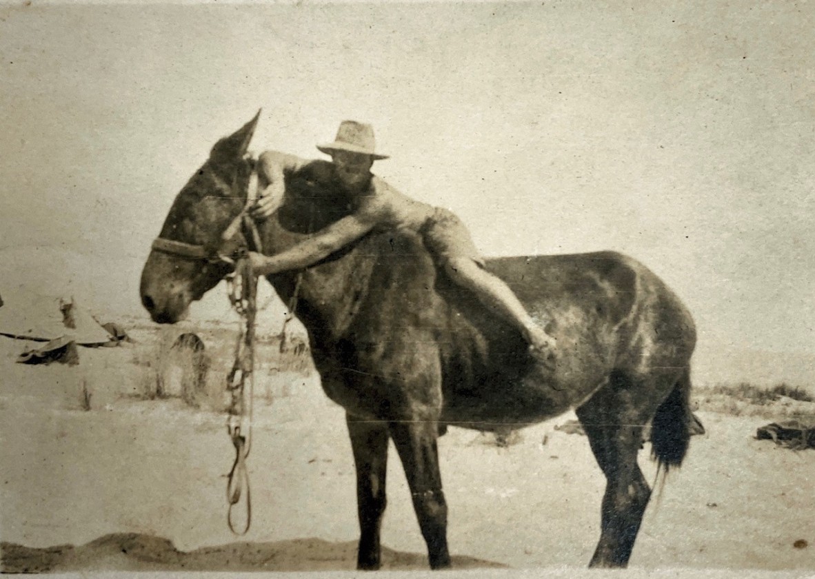 Trooper George Weeks astride his unsaddled horse in the Middle East during the First World War.