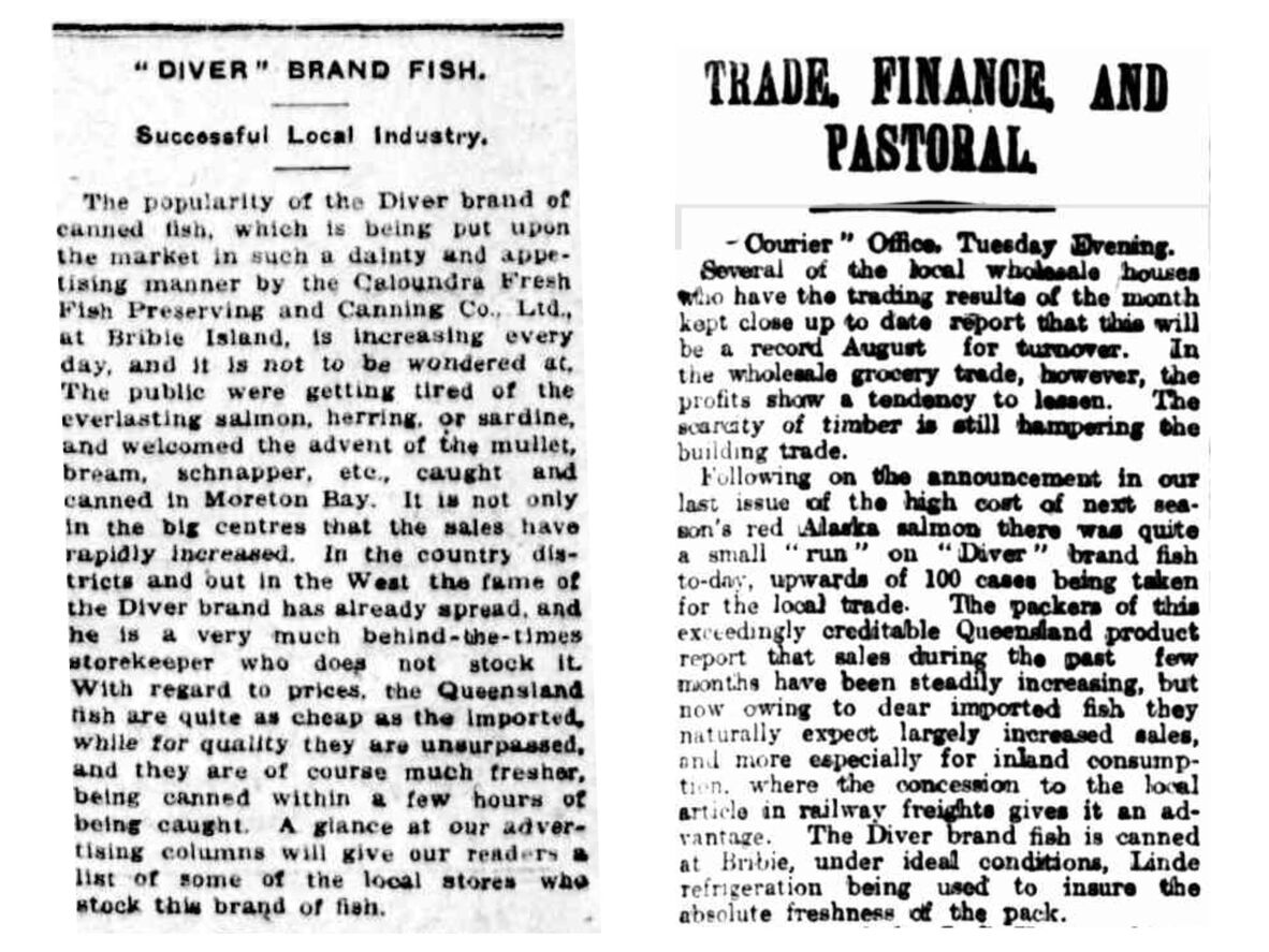 Two newspaper articles