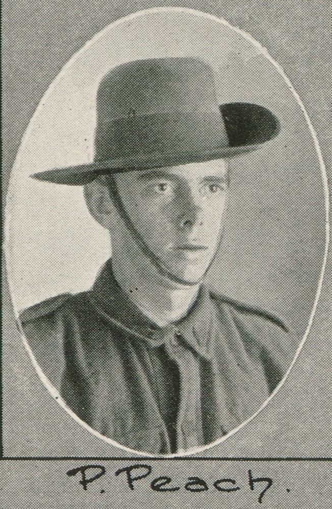 Percy Peach in The Queenslander Pictorial Supplement, 1916