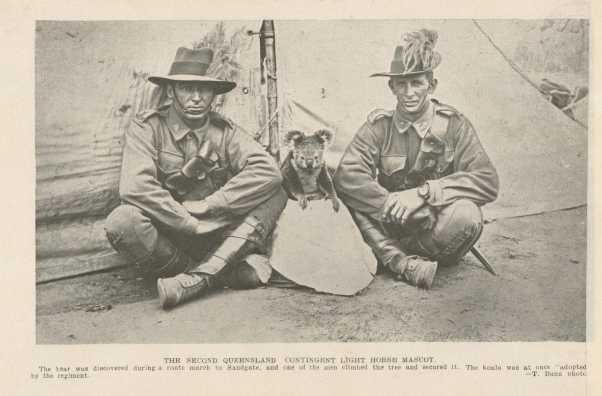 Two members of the Second Queensland Contingent Light Horse with their koala mascot