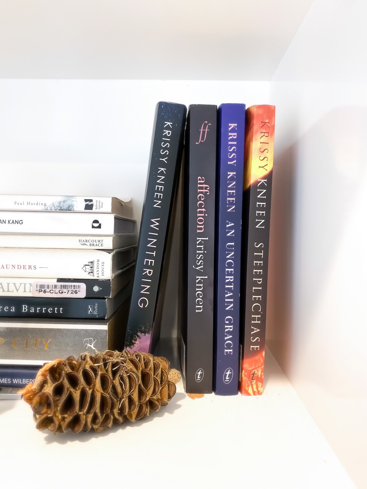 A banskia pod sits on a shelf in front of four books by Krissy Kneen, spines out