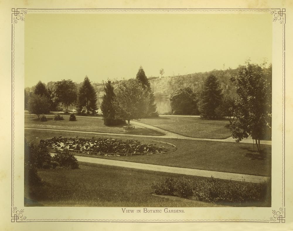 View of the Botanic Gardens in Brisbane, 1875