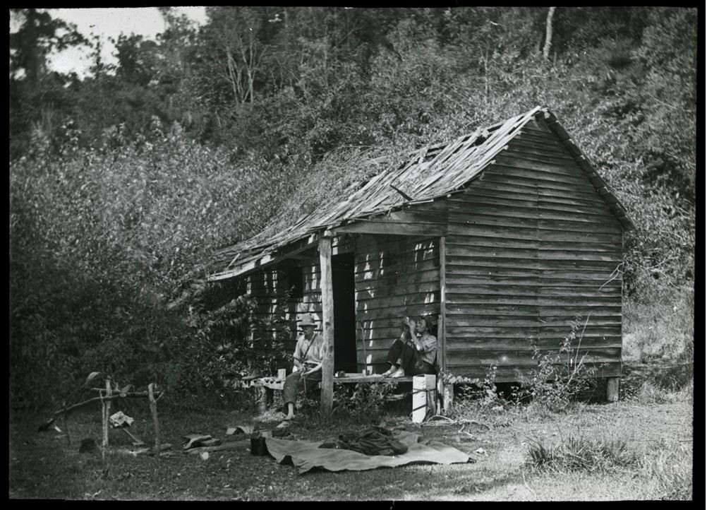  Krarup Hut near Canungra, Queensland, 1909-1915