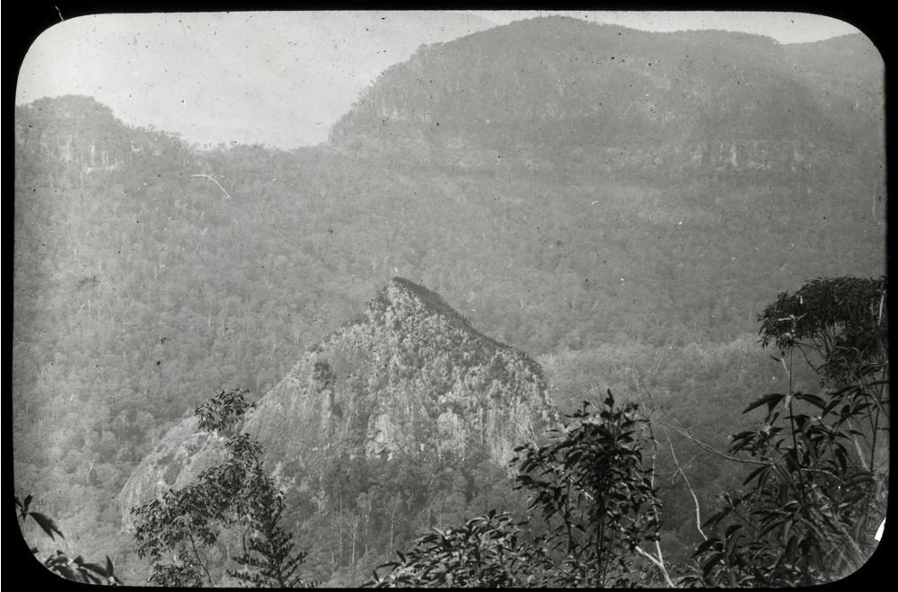 View looking towards Egg Rock in Lamington National Park, Queensland, 1909-1915