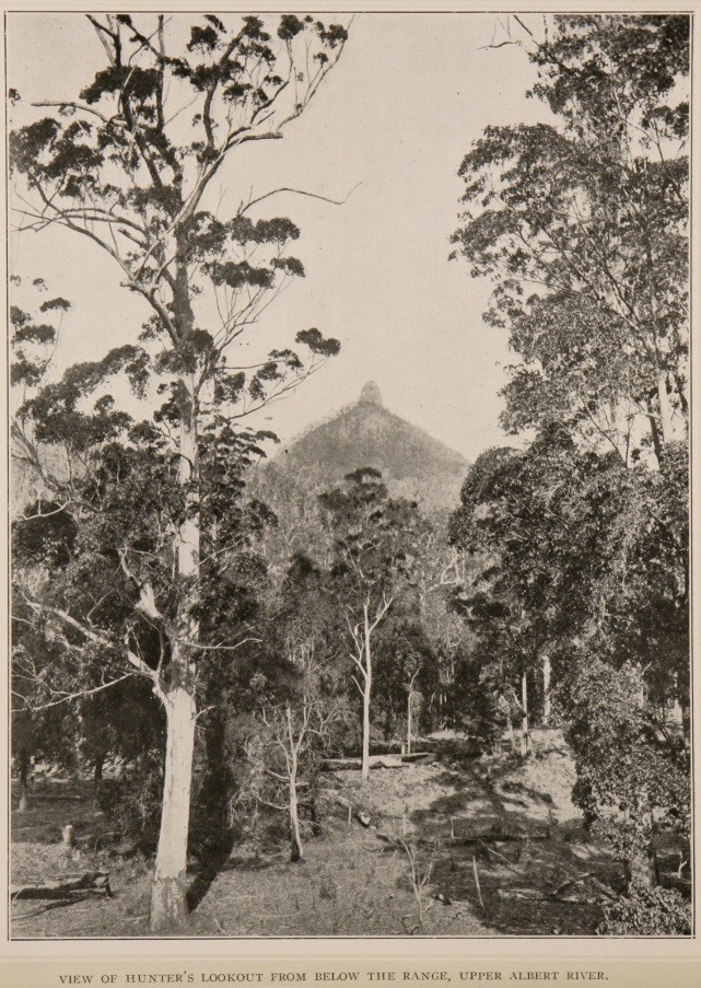 The national park of Queensland : comprising Lamington and Roberts Plateaux (South Queensland).