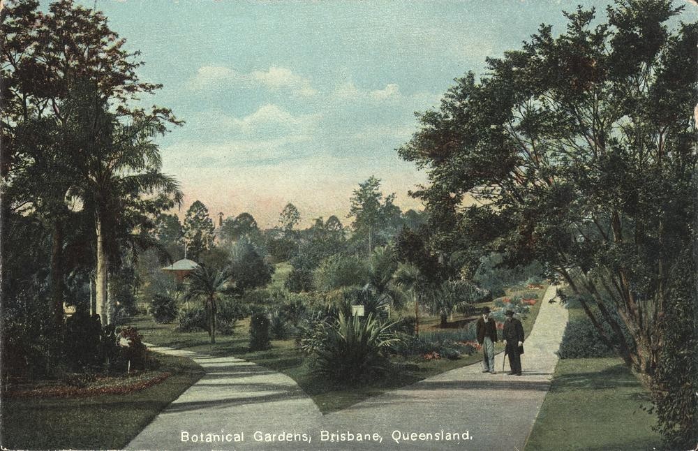 Strolling through the Brisbane Botanical Gardens, 1900-1910.