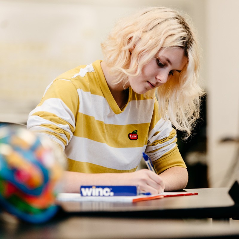 Young adult writing
