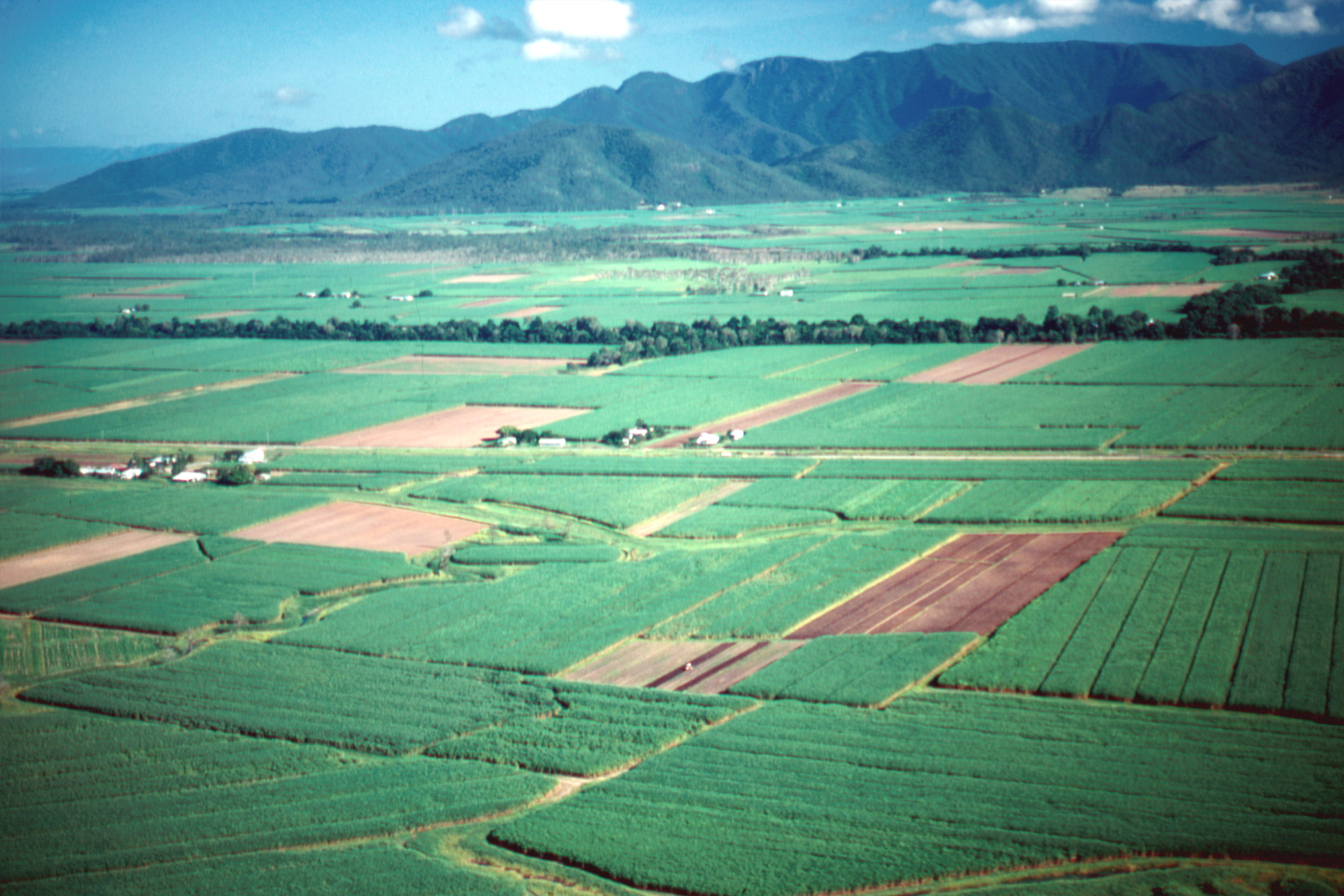 Aerial view of the canefields at Tully, 1984