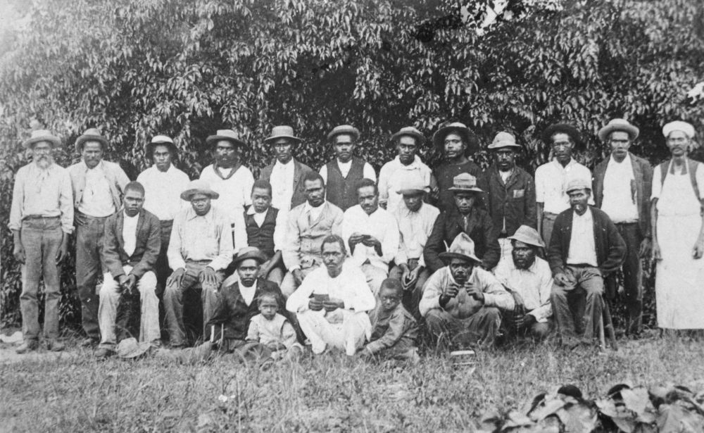 Australian South Sea Islanders at Mossman, Queensland, 1895 Photographer unknown John Oxley Library, State Library of Queensland Negative no. 127136