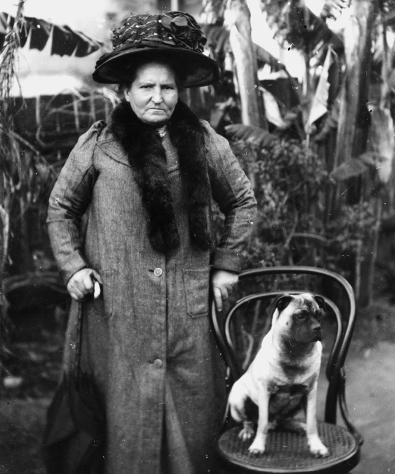 Portrait of a woman and her dog, 1900-1910
